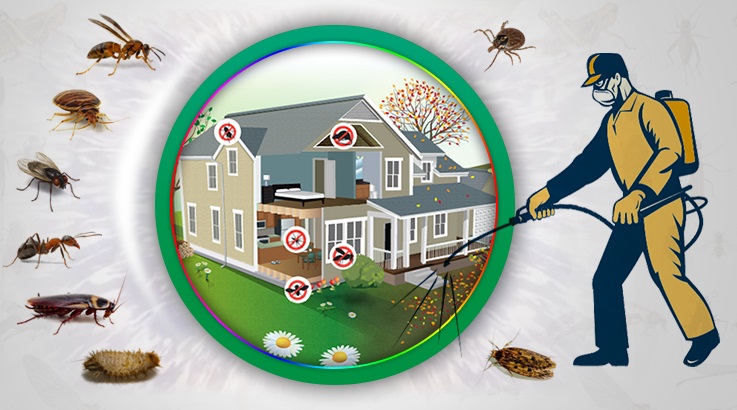 Arnavutköy Böcek İlaçlama